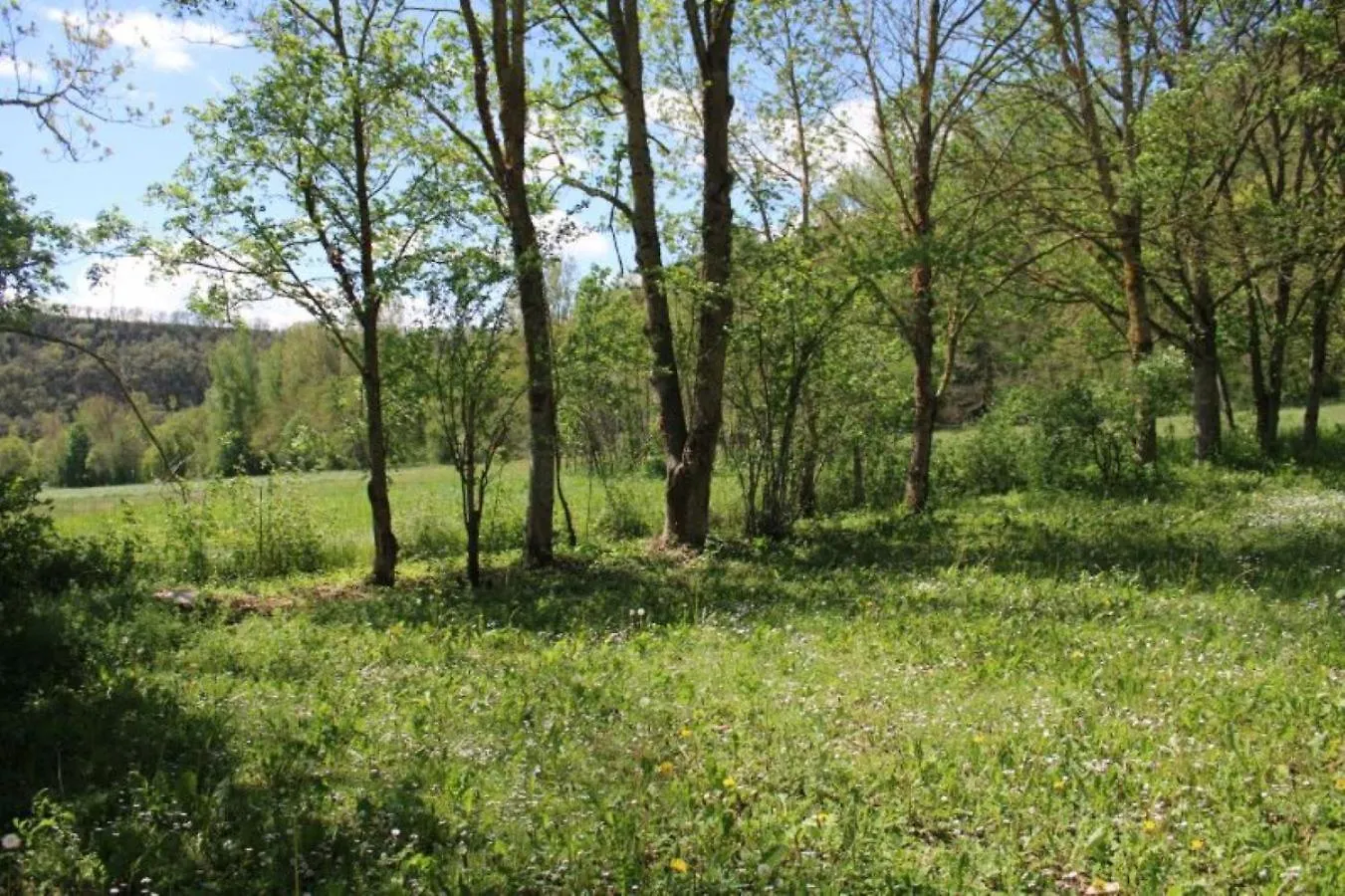 Kemp Camping Vert Lavande Belmont-sur-Rance Francie